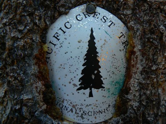 All Wilderness Vagabond trip reports about the PCT, JMT, Sierra hikes